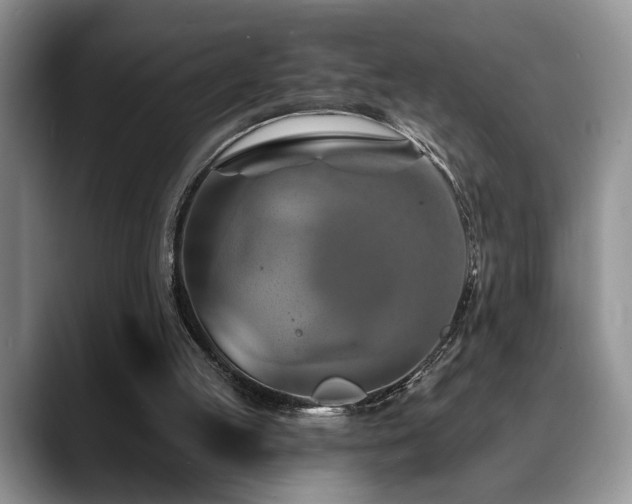 X0000088890053200706081255