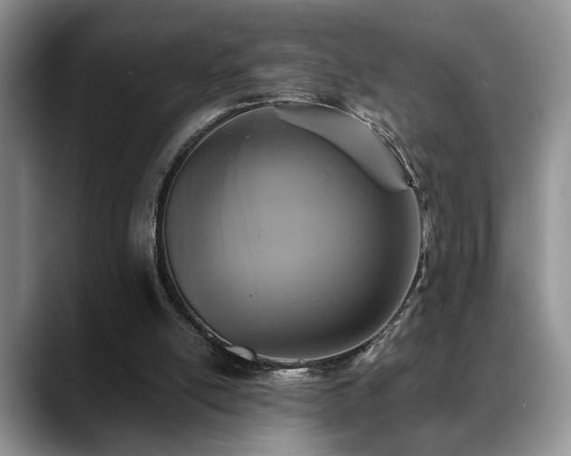 X0000088890054200706081255