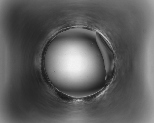 X0000088890055200706081255