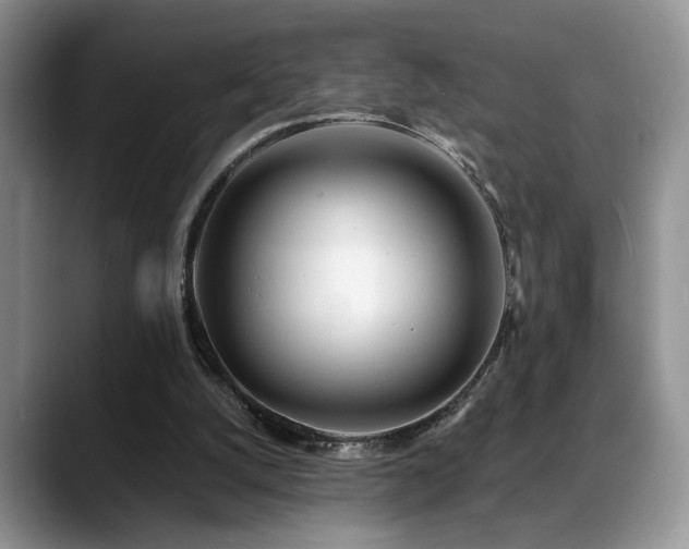 X0000088890056200706081255