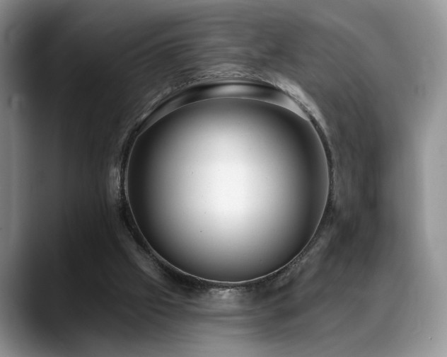 X0000088890057200706081255