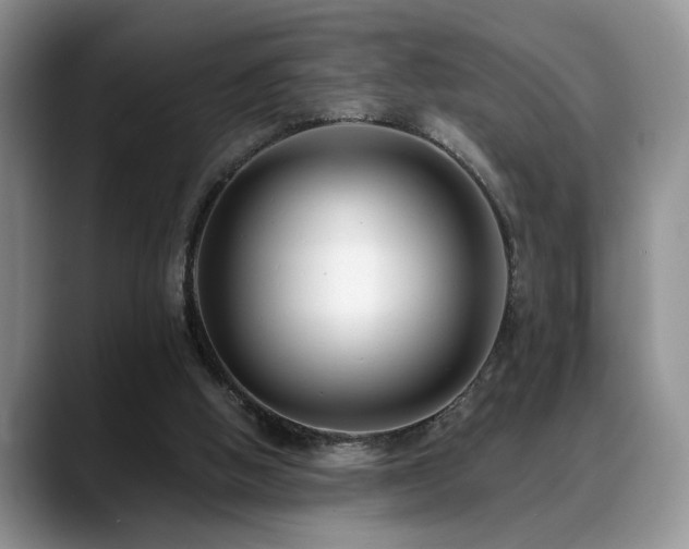 X0000088890058200706081255