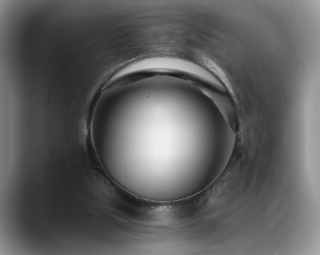 X0000088890059200706081255