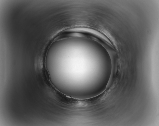 X0000088890060200706081255