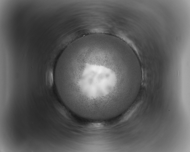 X0000088890061200706081255