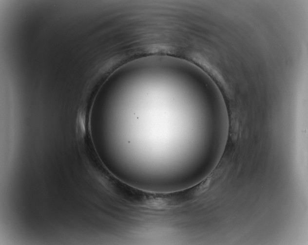 X0000088890062200706081255