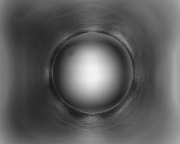 X0000088890063200706081255