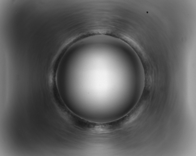 X0000088890064200706081255