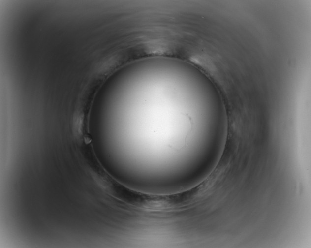 X0000088890066200706081255