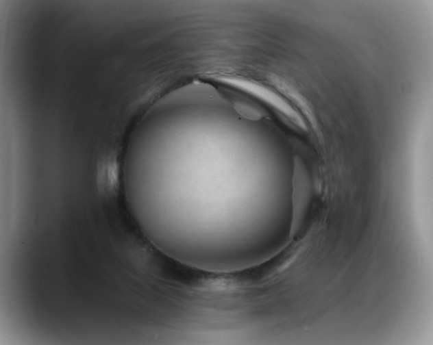 X0000088890067200706081255