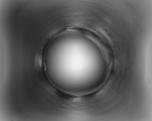 X0000088890068200706081255