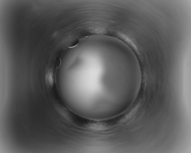 X0000088890069200706081255