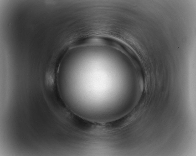 X0000088890072200706081255