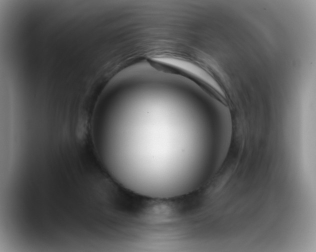 X0000088890073200706081255