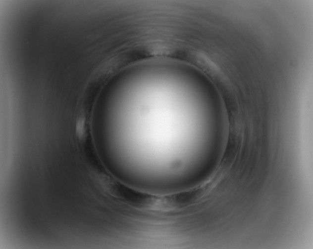 X0000088890074200706081255