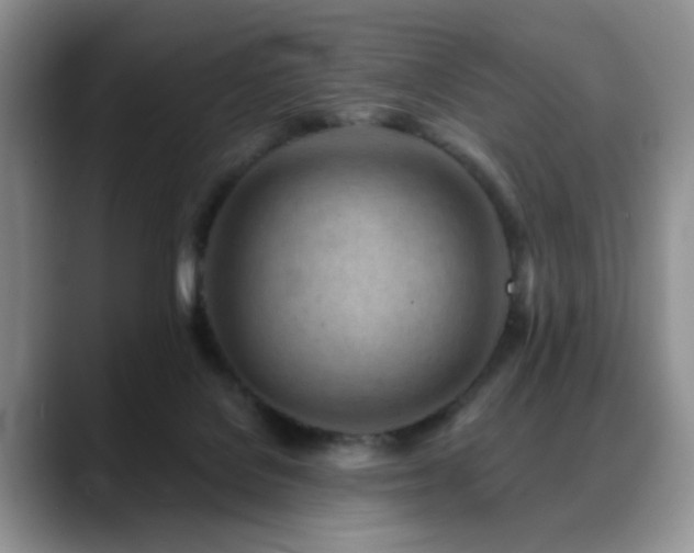 X0000088890076200706081255