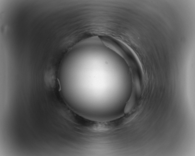 X0000088890080200706081255