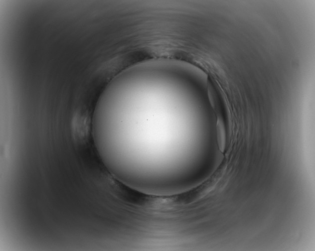 X0000088890081200706081255