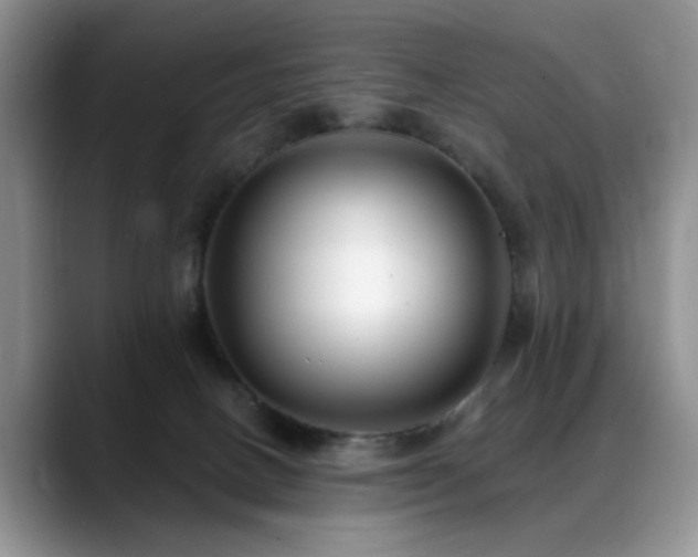 X0000088890082200706081255