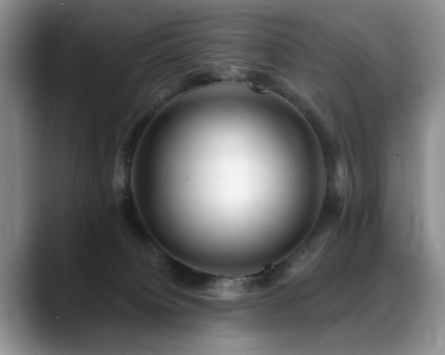 X0000088890084200706081255