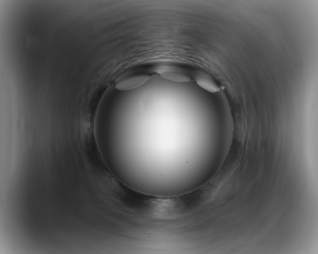 X0000088890085200706081255