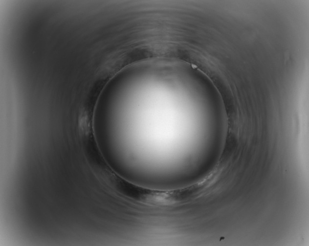 X0000088890086200706081255