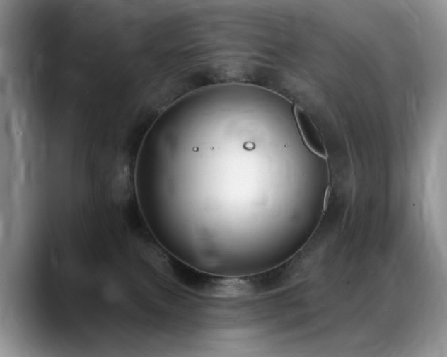 X0000088890087200706081255