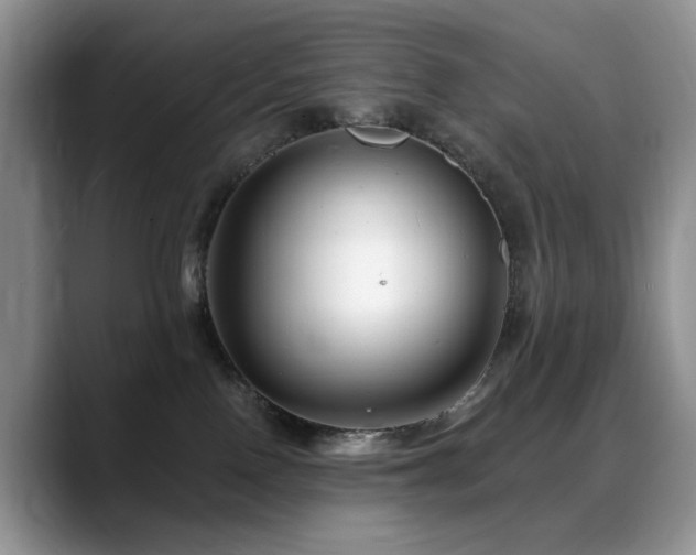 X0000088890090200706081255