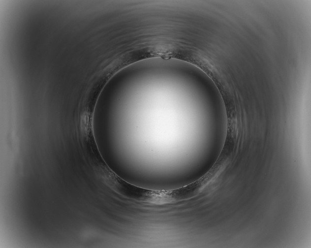 X0000088890093200706081255