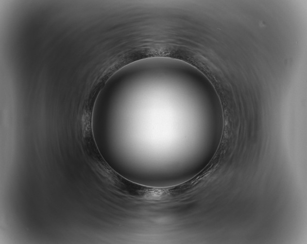 X0000088890096200706081256