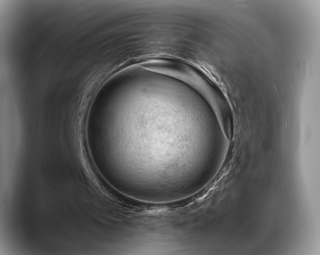 X0000088890097200706081255