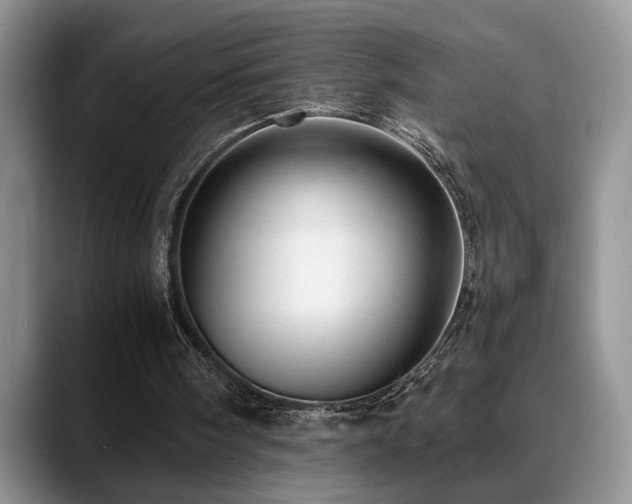 X0000088890098200706081255