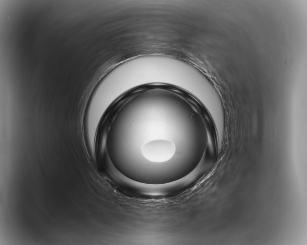 X0000088890099200706081255