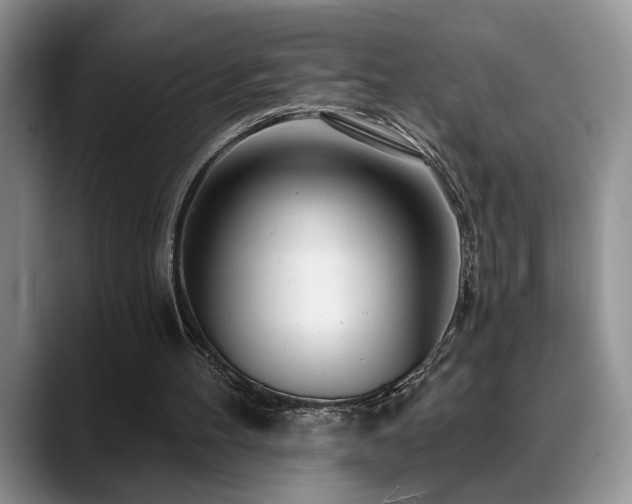 X0000088890100200706081255