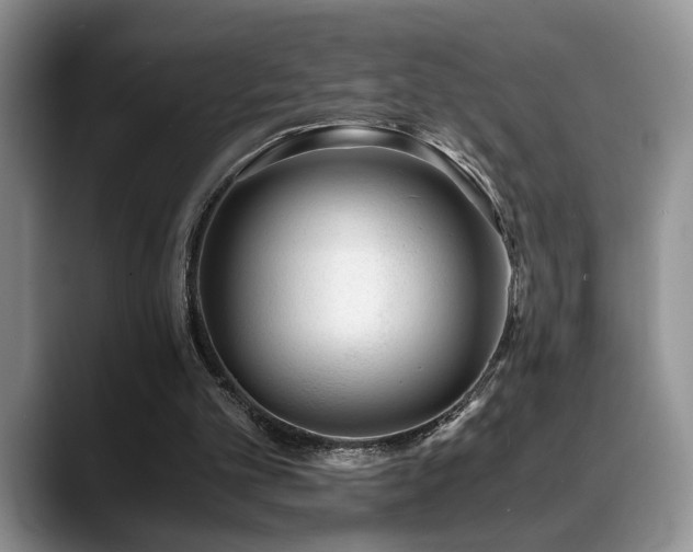 X0000088890101200706081255