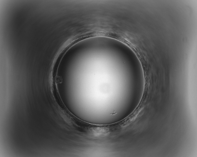 X0000088890102200706081255