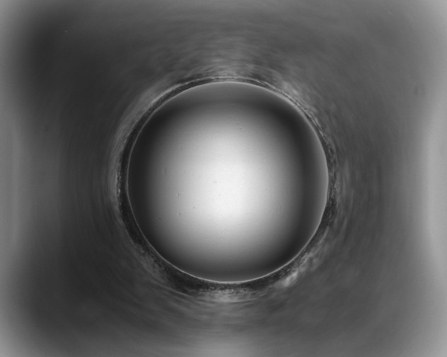 X0000088890103200706081255