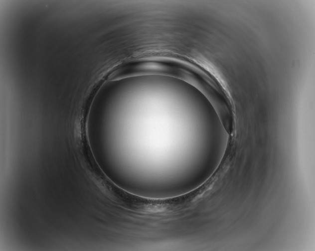 X0000088890105200706081255