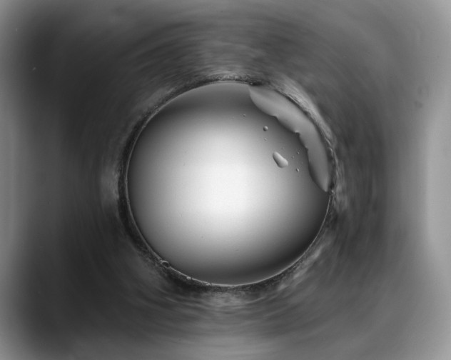 X0000088890106200706081255