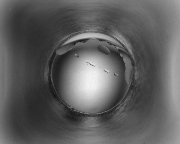 X0000088890107200706081255