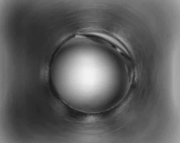 X0000088890111200706081255