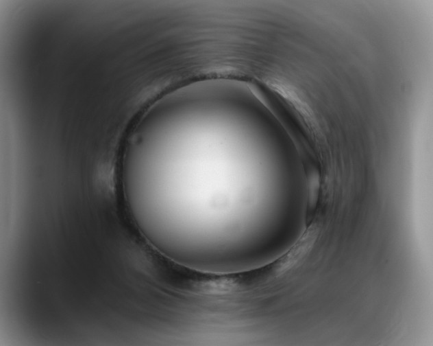 X0000088890112200706081255