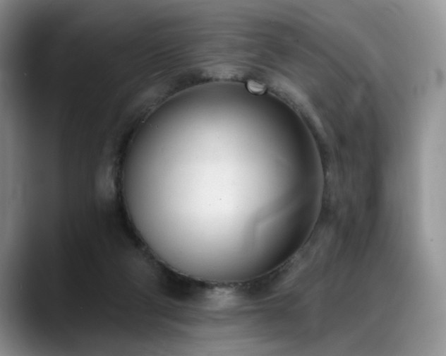 X0000088890114200706081255