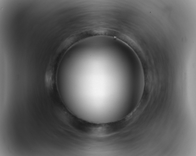 X0000088890116200706081255