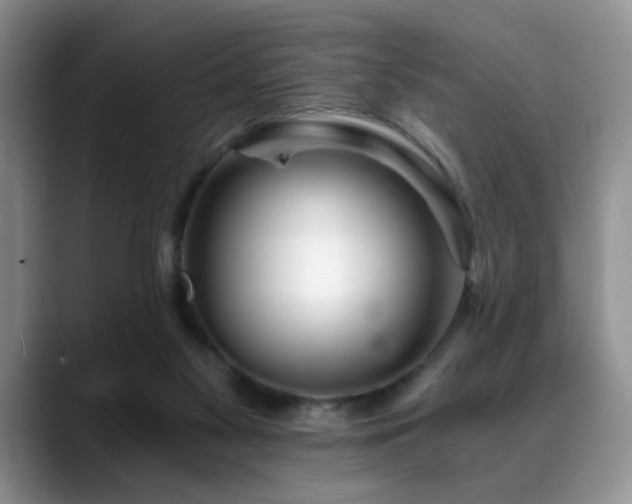 X0000088890117200706081255