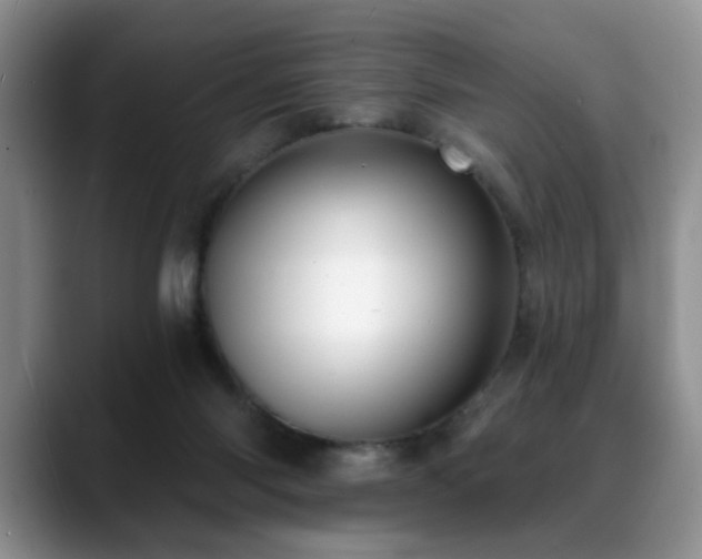 X0000088890118200706081255