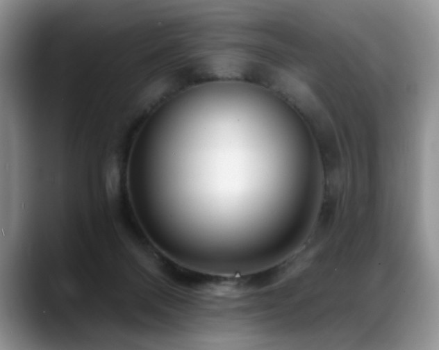 X0000088890120200706081255