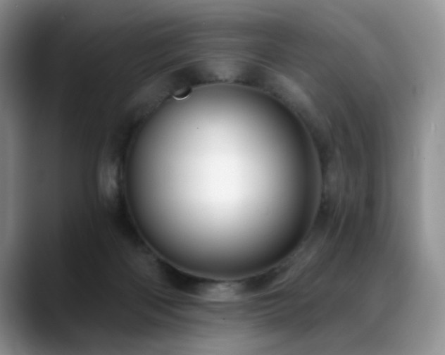 X0000088890122200706081255