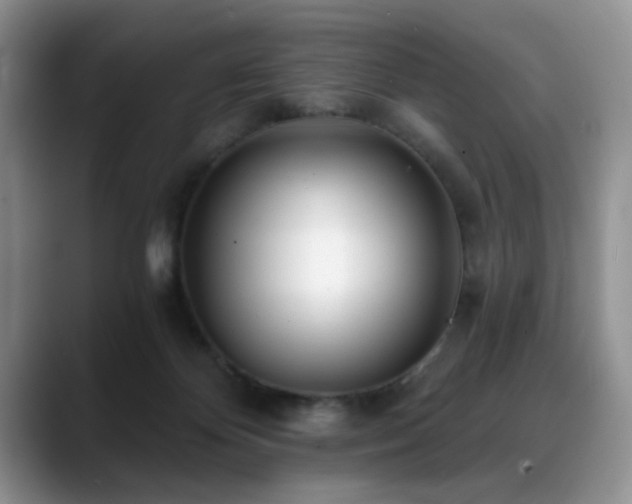 X0000088890124200706081255