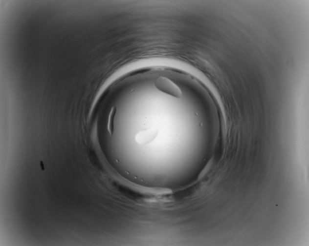 X0000088890125200706081255